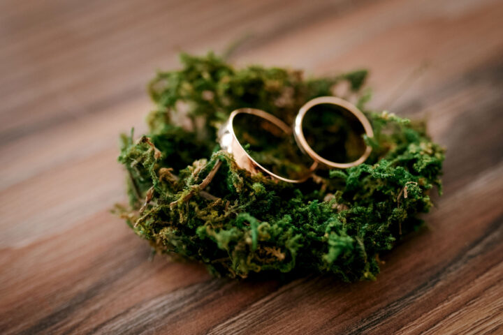 Wedding rings on grass.